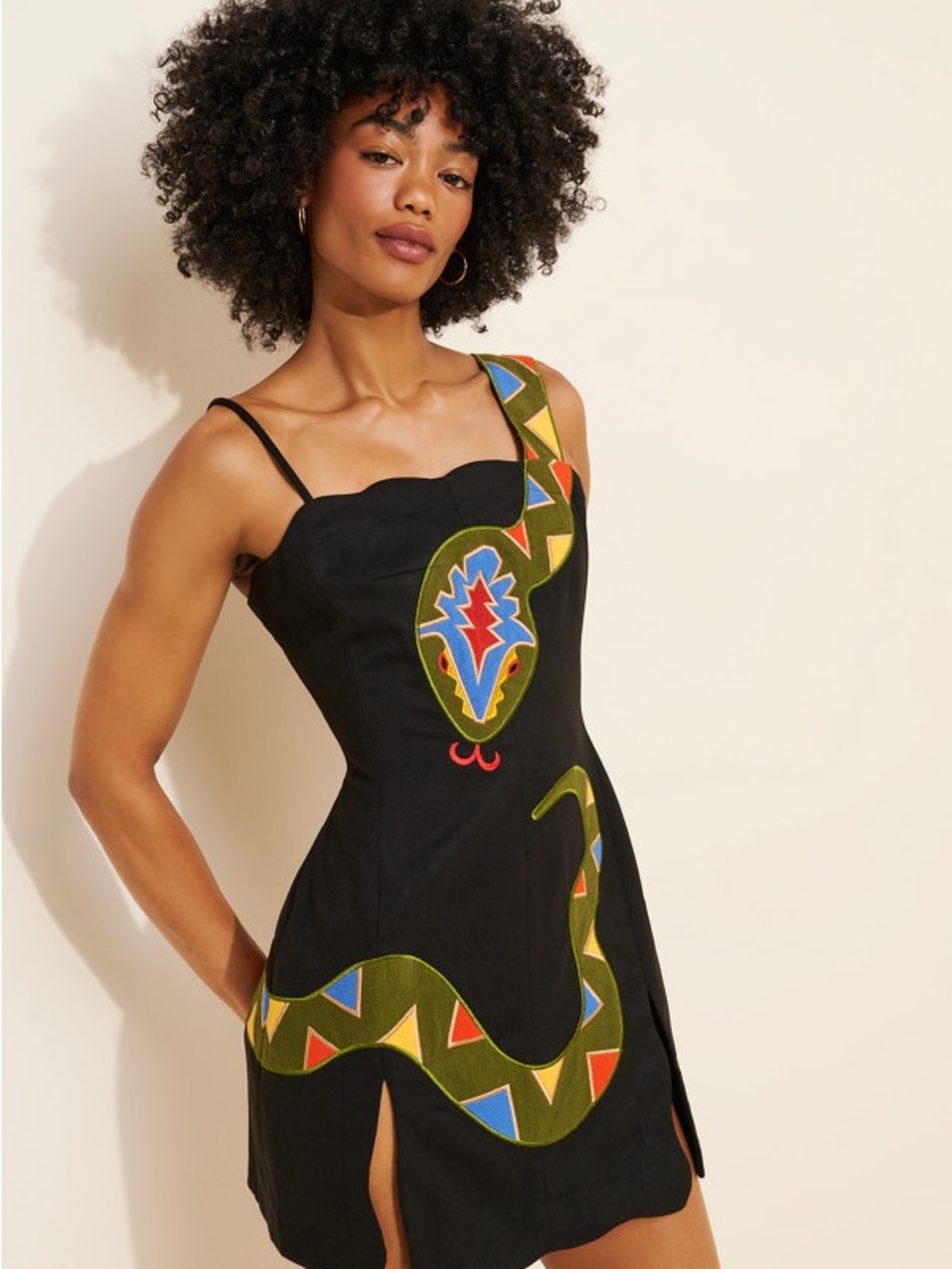 Fashion Brand Company Black Mini Dress with Multicolor Snake Embroidery